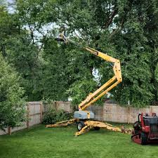 Best Storm Damage Tree Cleanup  in Mcfarland, CA